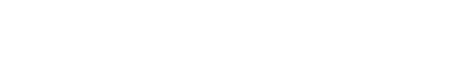 AVIAGE SYSTEMS LOGO